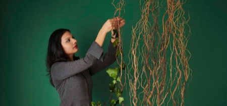 Ikebana Flower Arrangements